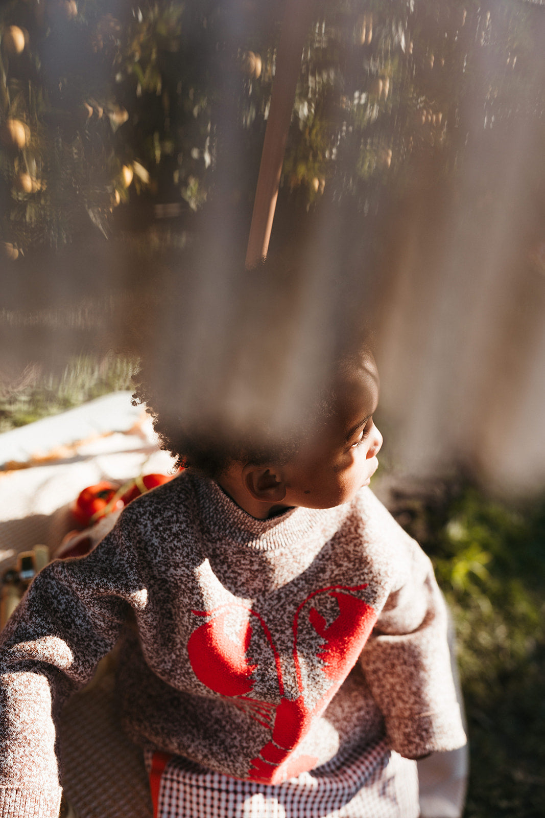 Henry Lobster Knit Jumper
