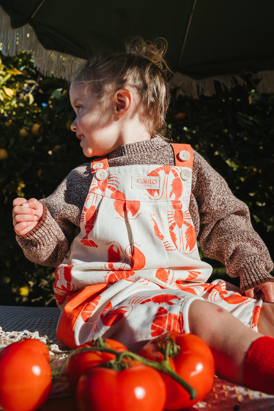 Jules Lobster Print Dungaree
