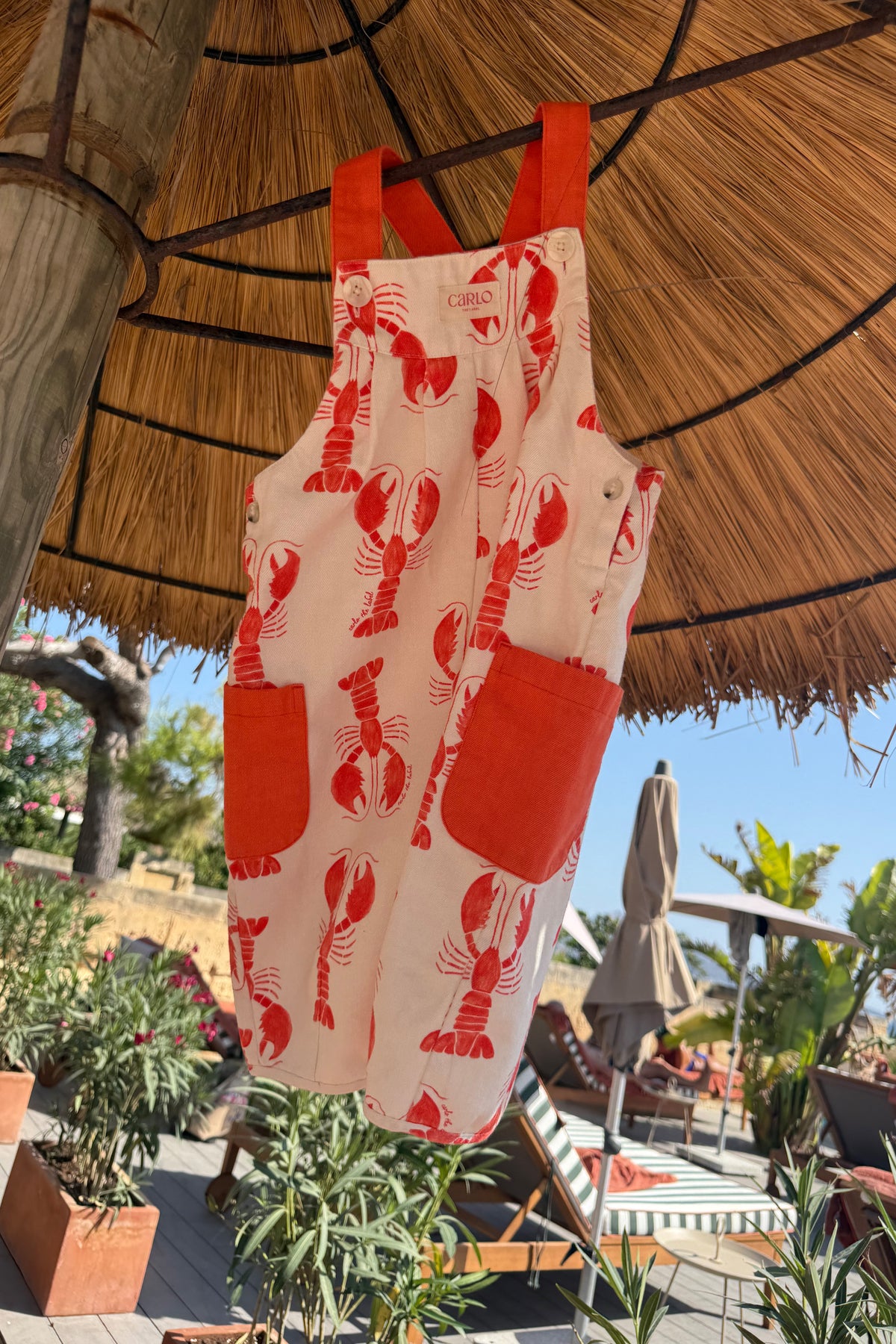 Jules Lobster Print Dungaree
