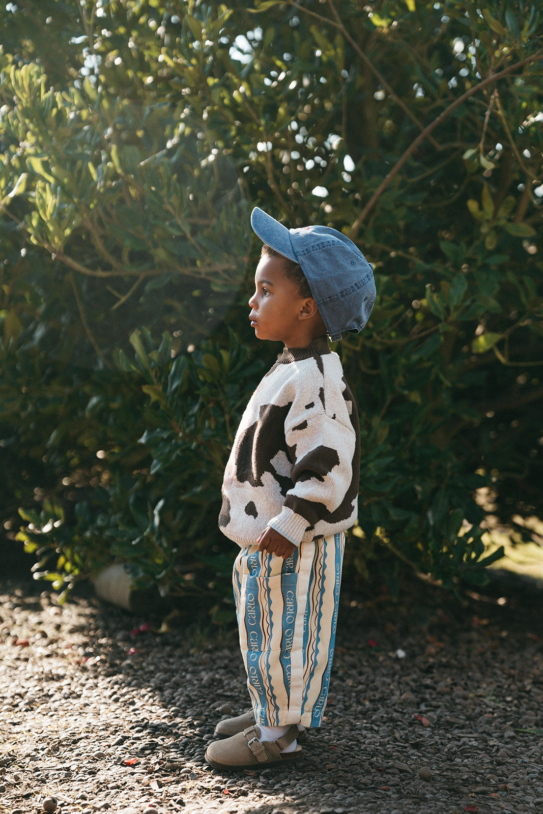 Malfi Carlo Buttercup Stripe Pant